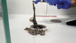 How to unclog and clean your shower drain easily [upl. by Filiano245]