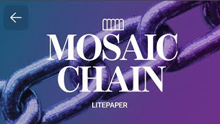 Mosaic Chain Lite paper Presentation All details about Abstract Mosaic Alpha Mosaic NFT Validator [upl. by Chally785]