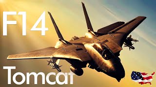 F14 Tomcat  Supersonic fighter  Star of the movie Top Gun  Upscaled video [upl. by Bess]