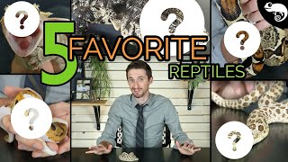 Top 5 Pet Reptiles  Clints Reptiles [upl. by Yanrahc]