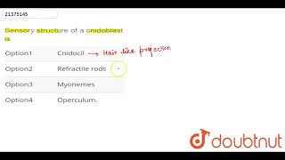 Sensory structure of a cnidoblast is [upl. by Mattland]