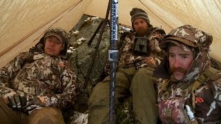 Steven Rinella on the Grizzly Bear of his Dreams [upl. by Eerahs390]