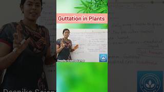 Guttation in Plants class10science deepikasciencecorner guttationinplants science biology [upl. by Adiaj]