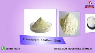 Gum Powder and Crystal By Shree Gum Industries Mumbai [upl. by Mutua686]