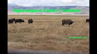 Ngorongoro Crater [upl. by Bores]