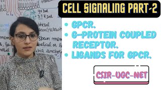 GProtein Coupled Receptor  GPCR Cell Signaling [upl. by Etnaid]