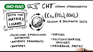 Learn How CHT™ Media Can Maximize Purity and Recovery in Downstream Processing [upl. by Keeley]