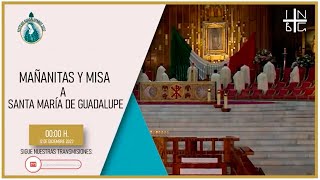 La Basílica de Guadalupe te invita a participar de los Festejos Guadalupanos 2022 [upl. by Zeiger]