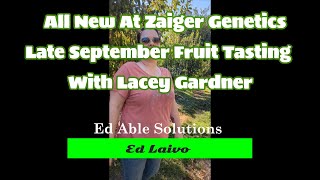 Lacey and I Walk a Few Rows in Late September On This All new At Zaiger Genetics [upl. by Ettelracs]