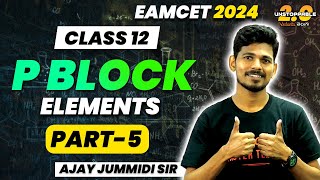 P Block Elements  Part 5  Class 12  Halogens Family  EAMCET 202425  Jummidi Sir [upl. by Trev]