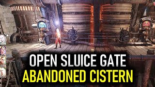 Sewer Cistern Sluice Gate Puzzle  Baldurs Gate 3 BG3 [upl. by Moshe58]