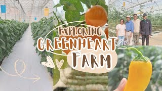 Experience Greenheart Farm with us Firsthand Experience of Organic Farming [upl. by Hanas]