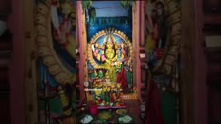 Durga Amma video [upl. by Skell970]