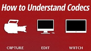 How to Understand Codecs [upl. by Yelnats]