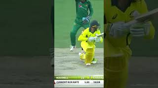 Australia All Fall of Wickets Against Pakistan Bowlers PAKvAUS SportsCentral Shorts PCB M7C2K [upl. by Haelem773]