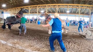 TROUBLE AT THE HORSE PULL  Draft Horse Pull in Madrid NY 529 [upl. by Valerlan]