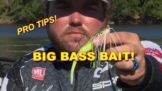 How To Fish A Chatterbait In The Summer  Bass Fishing [upl. by Yur]