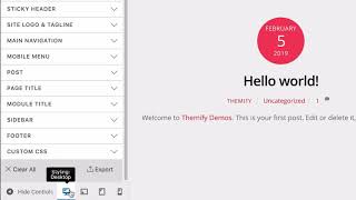 Themifys Customize Panel  Theme Styling amp Appearance [upl. by Theresina]