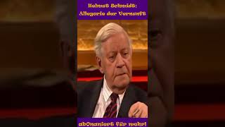 Helmut Schmidt Allegorie der Vernunft politics kokoharry shorts allegoriedervernunft [upl. by Ttreve]