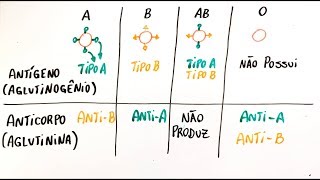 Sistema ABO e fator Rh Parte I  Resumo Professor Gustavo [upl. by Deragon]