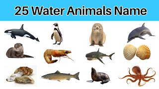 EASY ENGLISH Water Animal Names  25 Water Animals Name [upl. by Rhodie]