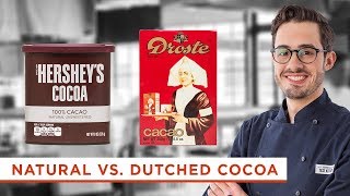 Whats the Difference Between Dutched Processed Cocoa Powder and Natural Cocoa Powder [upl. by Legir603]