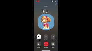 Fake Call with Skye from Paw Patrol  HighFlying Pup Surprise [upl. by Windy235]