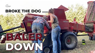 HELP  the MASSEY is DOWN  Replacing Hay Dog Springs hayseason [upl. by Hadwyn]