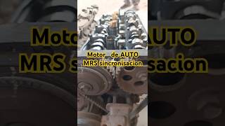 Motor Auto MRS silvertex harryhzv montacargas parati [upl. by Findlay]