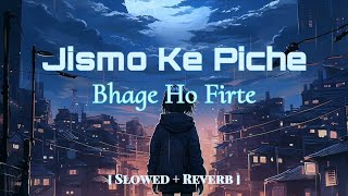 Jismo Ke Piche Bhage Ho Firte  Lyrics  Arjit Singh Slowed  Reverb  Hindi Lofi Song video [upl. by Eilac]