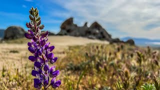 Pacific Crest Trail 2023  Part 8  Scissors to Warner Springs [upl. by Idnod]