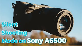 Sony A6500 How to Enable Silent Shooting Mode [upl. by Oicirtap]