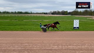 Qualifications Grosbois  Trot attelé  Lot 1 du 050424 [upl. by Ecinert]