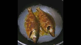 Ilish Maachh Bhaja foodkhaa [upl. by Aicertal]