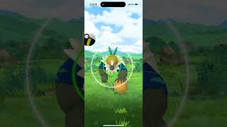 Getting Lucky With Shiny Passimian In Pokemon Go shinyhunt [upl. by Fruma180]