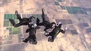 USPA National Skydiving Championships 2015  Golden Knights [upl. by Nahs737]