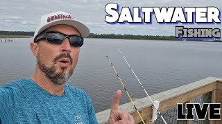 Saltwater fishing live fish fishing outdoor [upl. by Enitsuga]