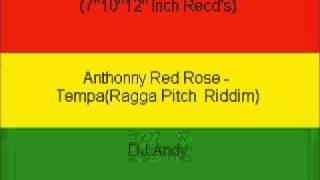 Anthonny Red Rose  TempaRagga Pitch Riddim [upl. by Aiht]