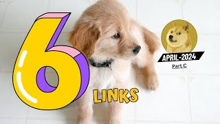 6 Doge Unblocker Links 2024 [upl. by Aneerhs540]