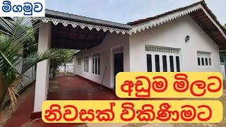 Cheap Property for sale in Negombo  Cheap house for sale in sri lanka  house and land for sale [upl. by Araihc]