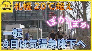 気温急上昇 札幌市２０℃超 松前町で早咲き冬桜開花 ９日一転気温急下降 寒暖差による体調不良など注意 [upl. by Lightman]