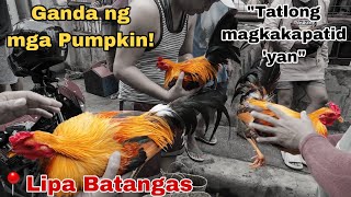 Episode 101 Bentahan ng Manok sa Lipa Batangas [upl. by Teodoor]