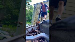 Video of Gutter Cleaning MrMeniuk Connecticut USA 🇺🇸guttercleaning gutters gutteringcleaning [upl. by Ytinirt252]