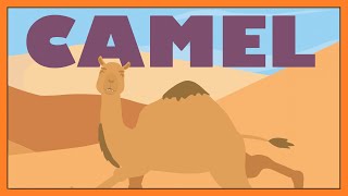 Camel Song 🐪  Extraordinary Dromedary Fun Animal Song for Kids │ Smiley Rhymes [upl. by Namron]