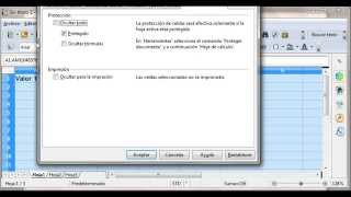 Proteger un libro hojas y celdas en OpenOfficeorg Calc 4 [upl. by Kenaz]