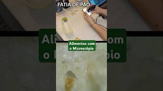 Vendo alimentos com Microscópio Digital microscópiodemão [upl. by Atinrev348]