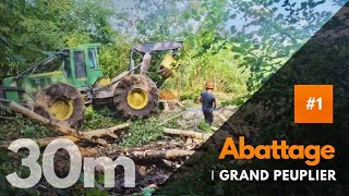 Abattages de gros peupliers impressionnant 🌳sthil ms 500i débardeuse 648H🚜 [upl. by Ennaeus238]