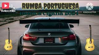 musica cigana 2024 rumba portuguesa [upl. by Lehman]