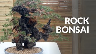 Creating a Rock Bonsai [upl. by Jackquelin]