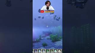 LE PENGWING SUR MINECRAFT [upl. by Eidok]